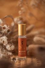 Load image into Gallery viewer, YnL Youthful & Fun Bundle